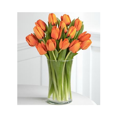 12 Orange Tulips with Free Vase