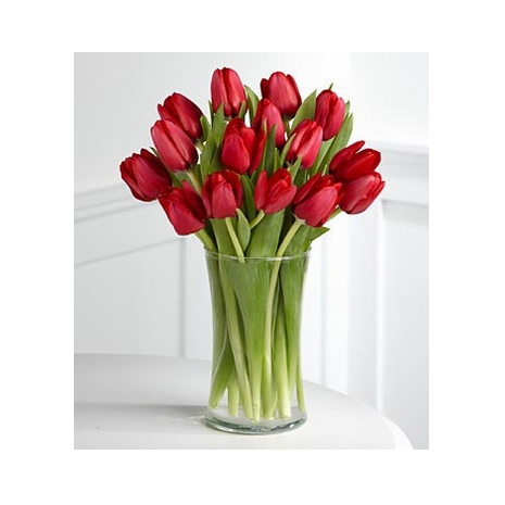 12 Red Tulip with Free Vase