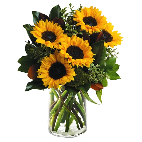 online 5 pieces sunflower in vase to philippines