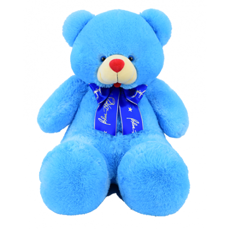 teddy bear in blue colour