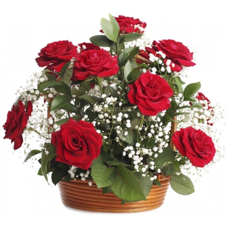 12 red roses in basket