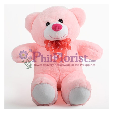 2 Feet Pink Color Teddy Bear To philippines