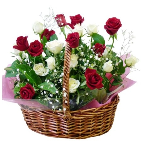 send white and red rose to philippines