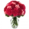 36 Pink Carnations with Free Vase