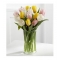 12 Beauty Mix Tulips with Free Vase