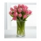 12 Pink Tulip with Free Vase