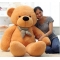 online 5 feet bears to to philippines